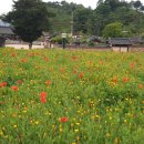 홍범식고택 이미지