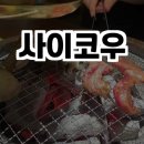 사이코우 이미지
