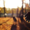 하얀장갑 이미지