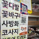 남대문시장 | 서울 가성비 꽃집 회현역 남대문꽃시장 후기+영업시간 주차 위치 꽃다발포장 정보
