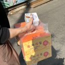 정콘택트 이미지