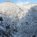 고향산천 Daum카페