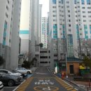 유림-26 이미지