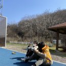 군산스포츠클라이밍센타 이미지