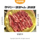 대구 신서동 각산역맛집 투쁠 소고기 식육식당 일월한우