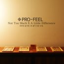 안경, 봄날 이미지