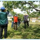 양성모농장 이미지