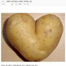 고굼 이미지