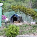 맘편한민박 이미지