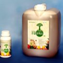 에이피텍 이미지