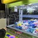 별내뽑기 | [별내맛집] 강북민물장어 — 통통한 장어 한입에 피로가 싹, 인형뽑기로 마무리한 완벽한 하루