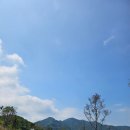 동강시스타 골프장 | 영월 18홀 동강시스타 cc 라운딩 후기