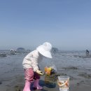 광주 근교 5세 아이랑 고창 만돌 갯벌 체험 후기, 준비물 (2026년 5월 체험 너무 재밌다)
