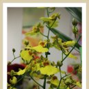 꽃장식 플로리스트 이미지