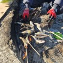 삼거리펜션민박 이미지