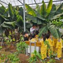 하서농장 이미지