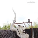 대룡남자경로당 | 황두 손잡고 기장 대룡마을 산책하기:)
