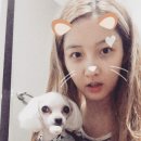 알콩달콩 이미지