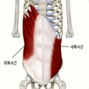 더좋은피트니스 이미지