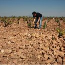 자동차일번지 이미지