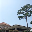 지인골프크럽 이미지