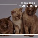 클로버동물병원 이미지