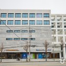 고려인삼 티스토리