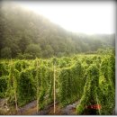 약돌농장 이미지