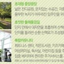 어울림광장 어울림카페 이미지