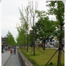 궁동경로당 | [20160622]&#39;홍대입구역에서 경의선숲길ㆍ연희동둘레길ㆍ안산바닥길 이어 걷고 연대 정문까지&#39; 다녀오다
