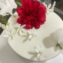 서울 강서구 생화 앙금 떡케이크 카네이션 떡케이크 클로버필드 후기