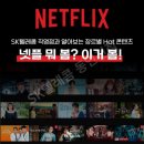 봄텔레콤 이미지