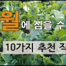 철&빈 이미지