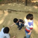 청사초롱 유아숲체험원 이미지