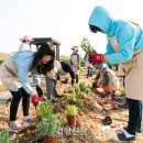 텃밭가꾸기 Daum카페