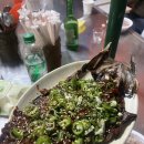 희야포차 - 사천시 | 양산 포차 남부시장 포장마차거리 희야집 내돈내산 솔직후기