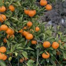 승훈농장 이미지