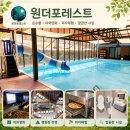 영일목재(주) | 괴산 캠핑장 추천, 수영장 시설이 돋보이는 원더포레스트 키즈캠핑장