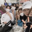 살롱;동백 이미지