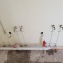 키다리아저씨 애견샵 이미지