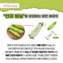 애호박 이미지