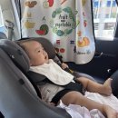 FIT360° | 조이 아이피벗360, 신생아부터 5세까지 쭉 쓰는 회전형 카시트 내돈내산 후기