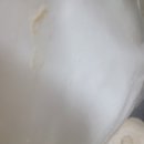 엠에스푸드 | (내돈내산) 엠에스푸드 돈사골 엑기스-C (냉동) 구입후기 입니다.