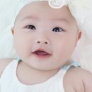 도경 Daum카페