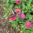 해양주유소 | 제주러버의 여름제주 1 - 제주 여름 동쪽 여행코스 추천(동선 O)