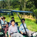 하동레일파크 이미지