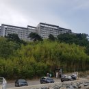 금성호횟집 이미지