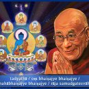 달라이 라마 성하님의 무릎수술이 성공적이라고 합니다. 이미지