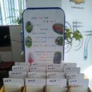 한국지엠아산바로서비스