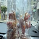 베이커리번 | 🤍내돈내산 후기🤍 목포 레터링 케이크 제작 추천, 목포 베이커리번 후기🌺